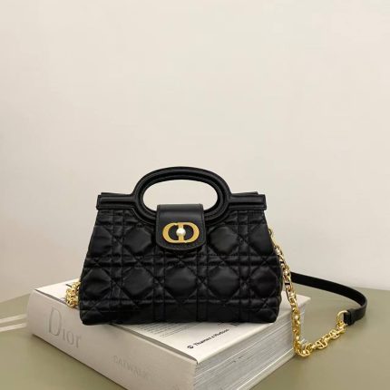 Dior women bag 3518