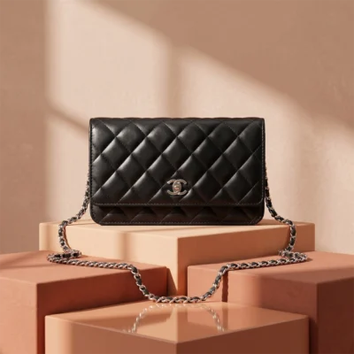 CHANEL women bag 3560